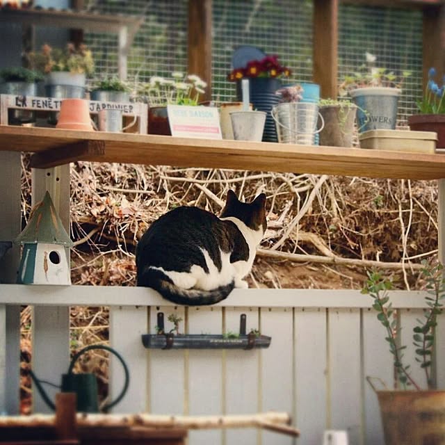 yukiさんの実例写真
