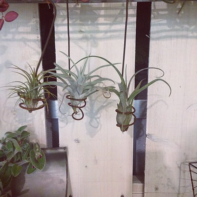 kensukeさんの実例写真