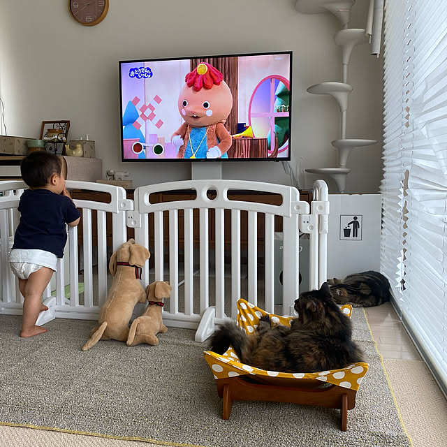mikomaruさんの実例写真