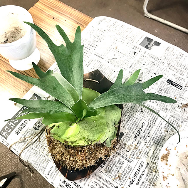 hm_myhomeさんの実例写真