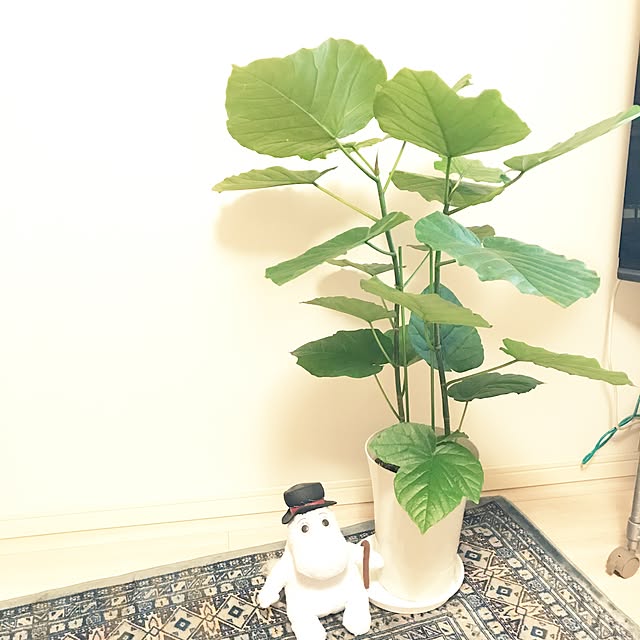 Smile_ren2020さんの実例写真