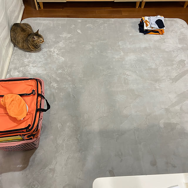 hansho.sさんの実例写真