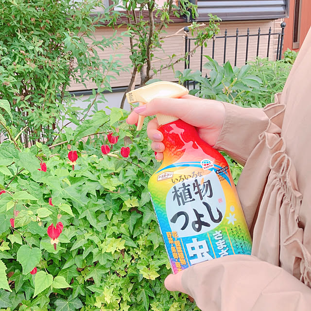 sophiaさんの部屋