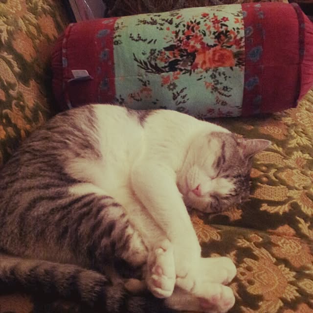 emmyyさんの実例写真