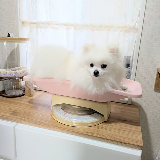 tilolさんの部屋