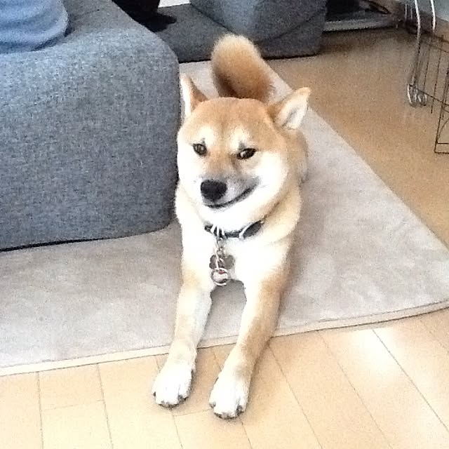 kotaさんの実例写真