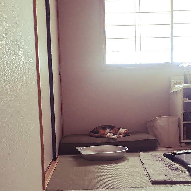 aiさんの実例写真