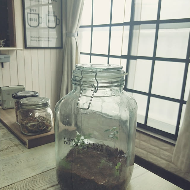 opiopiopiさんの実例写真