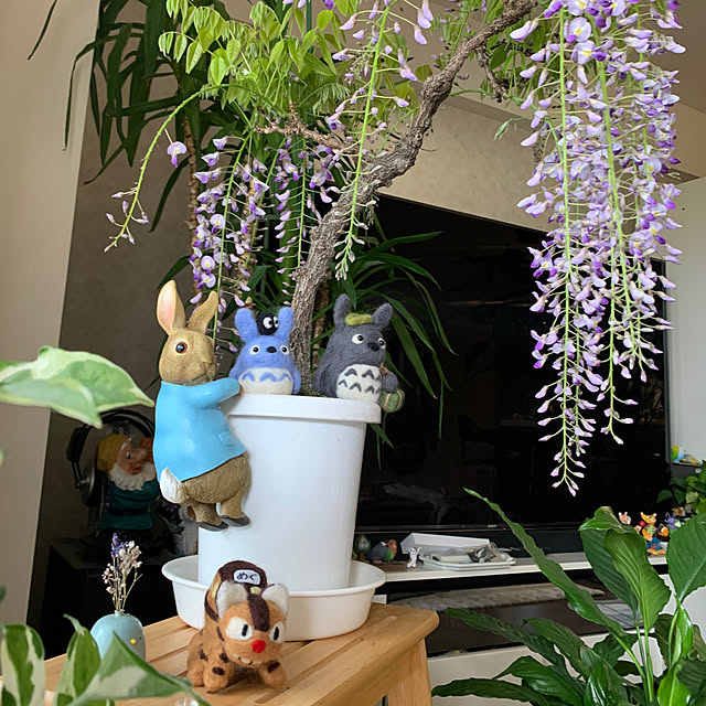 Aqettyさんの部屋