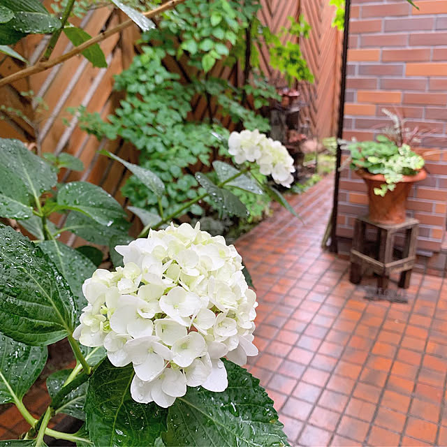 manaminさんの実例写真