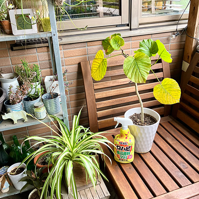 kan2さんの実例写真