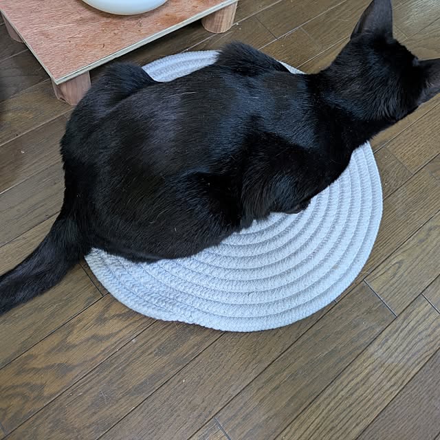 asaさんの部屋