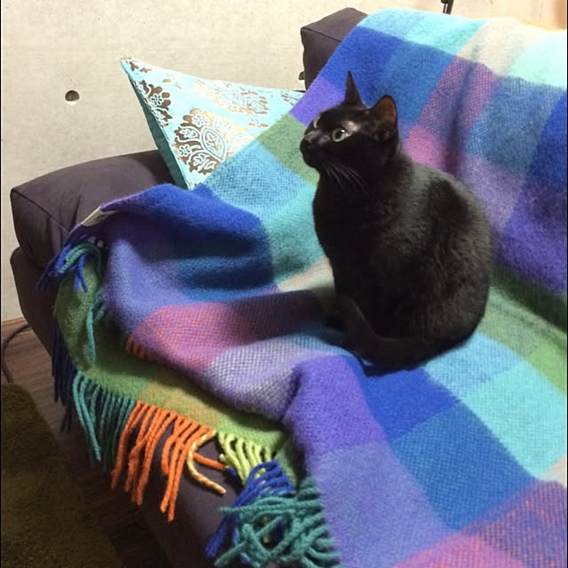 chico1024さんの実例写真