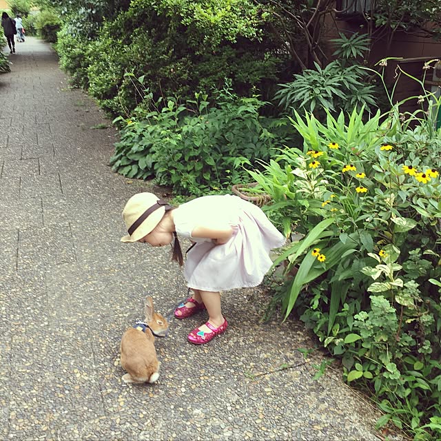 実例写真