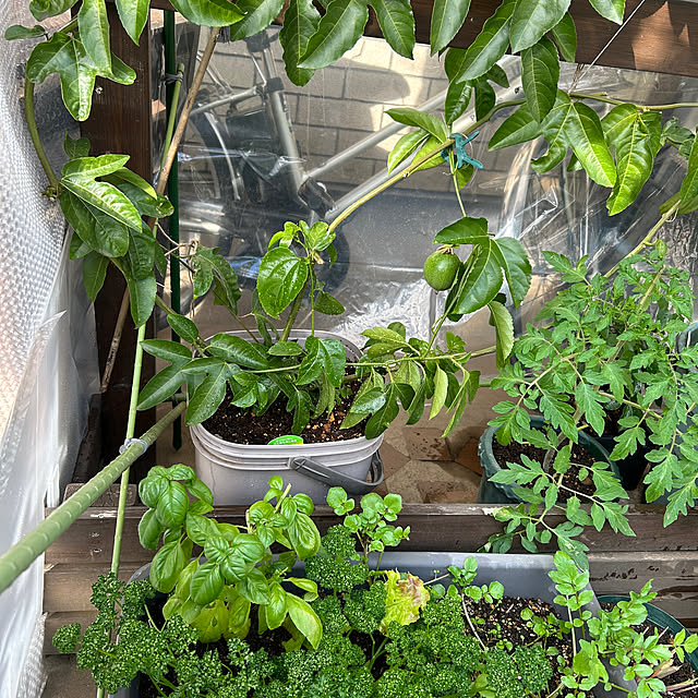 botanさんの部屋