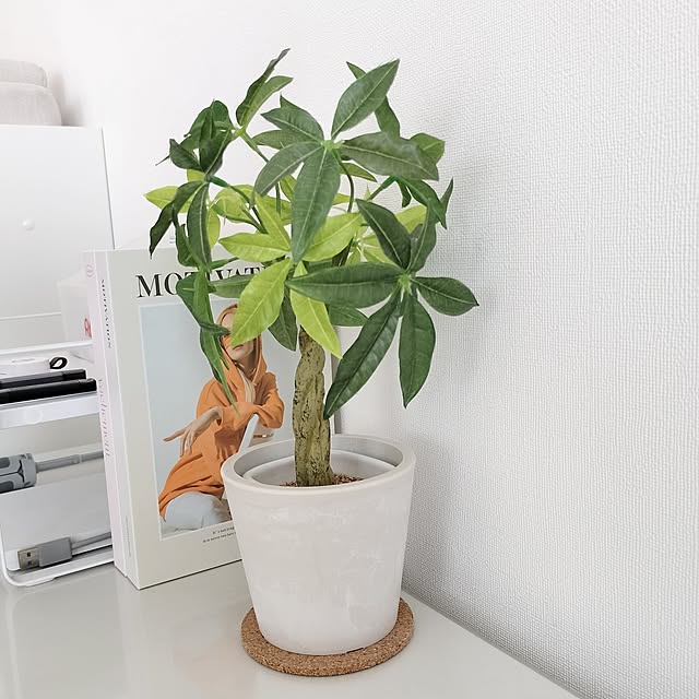 sakuraさんの部屋