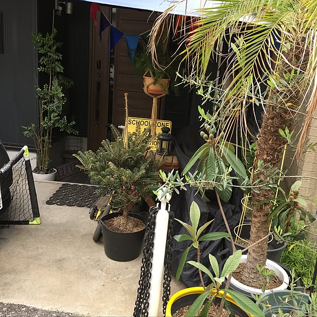 makorinnさんの実例写真