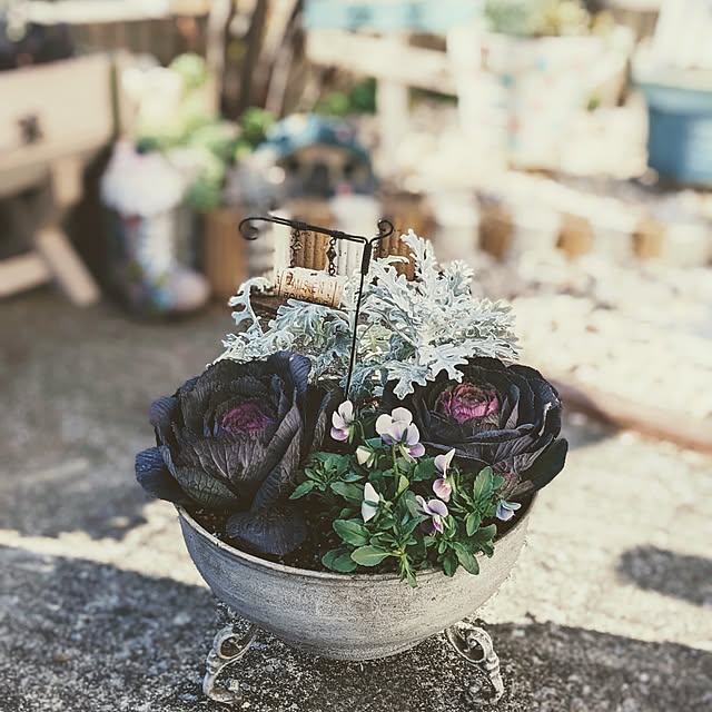 purpureさんの実例写真