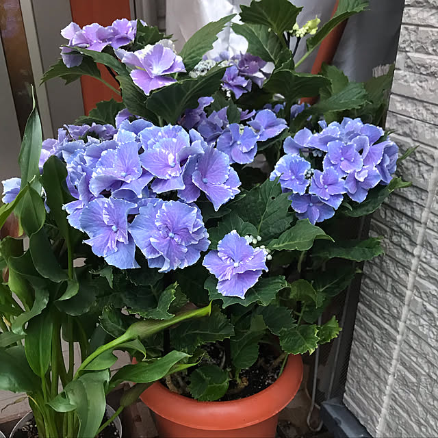 y-ohk.39612.1018さんの実例写真