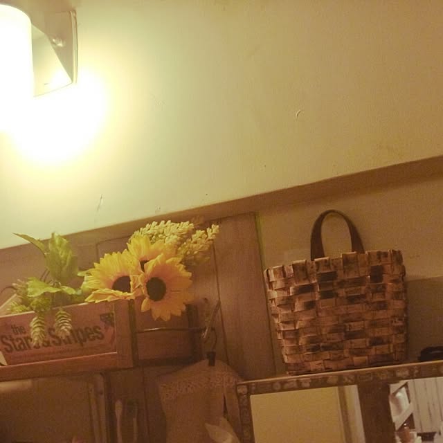 riesanchiさんの実例写真