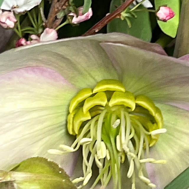 cotaさんの部屋