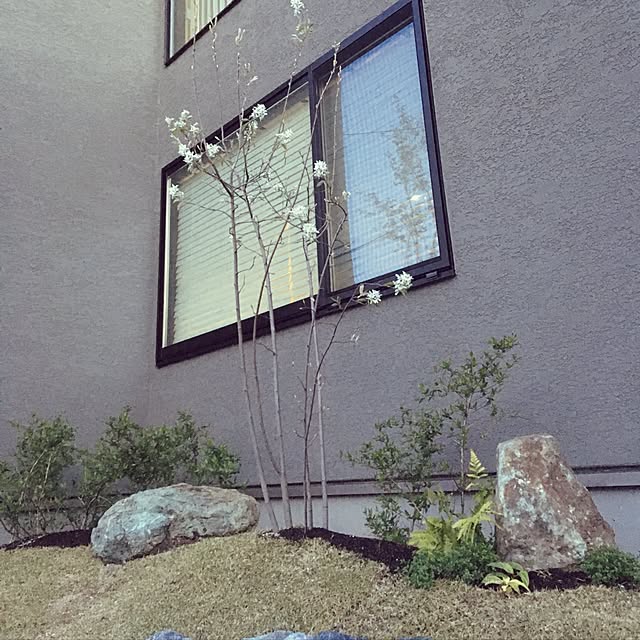 anaruさんの実例写真