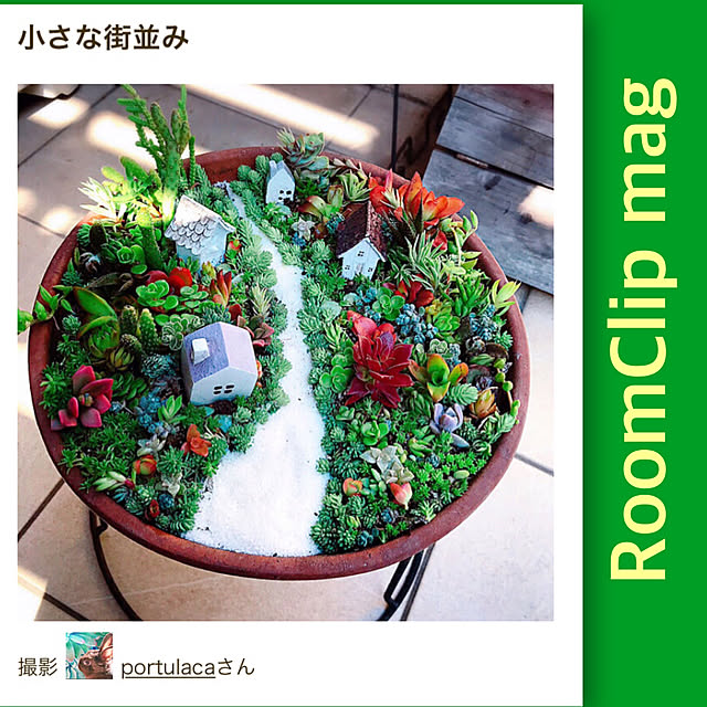 portulacaさんの実例写真