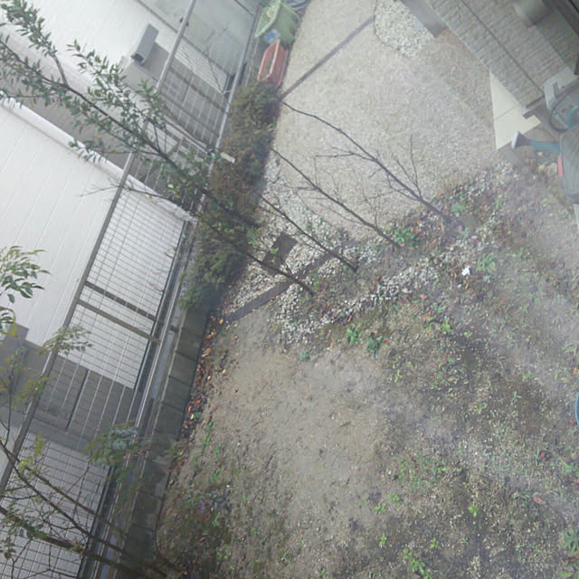 rierieさんの実例写真