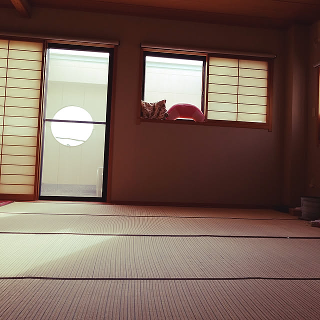 mintさんの実例写真