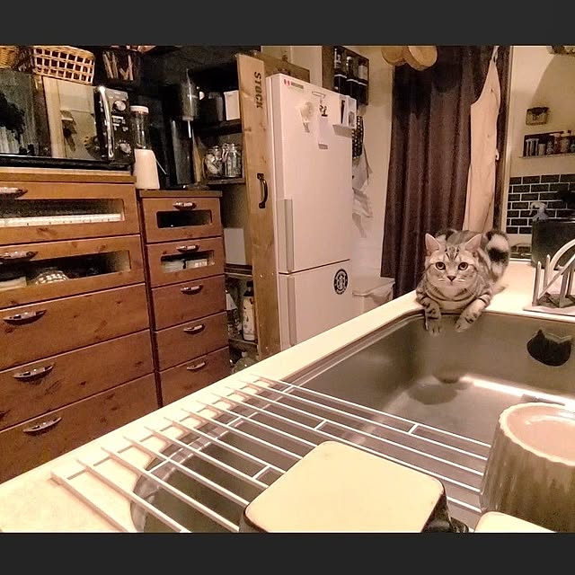lovepeaceさんの実例写真