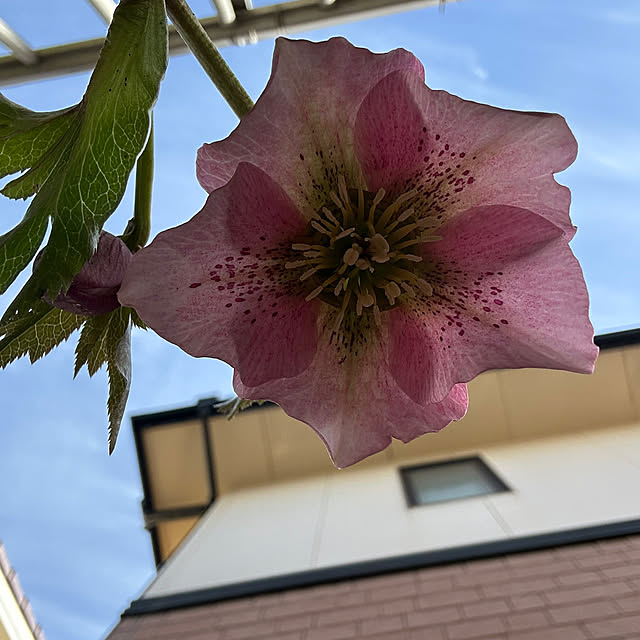 ritsukoさんの実例写真