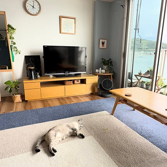 amさんの実例写真
