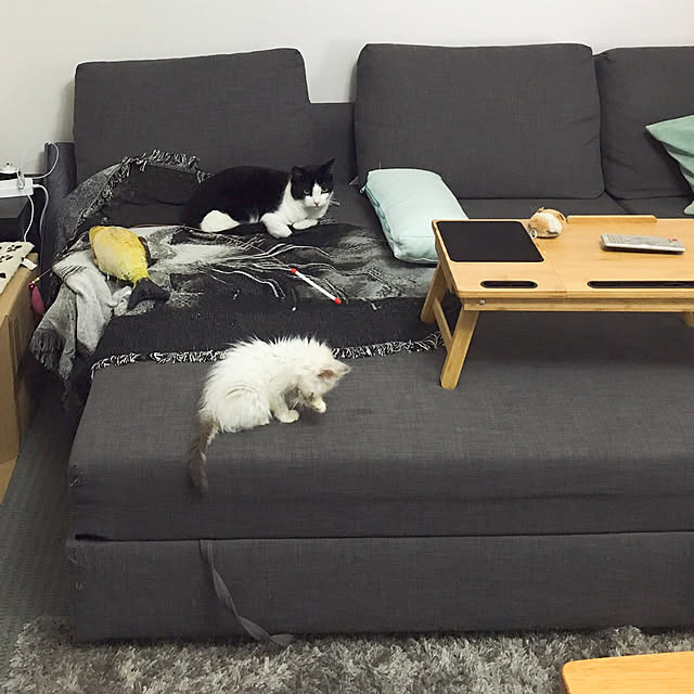 joyful77さんの実例写真