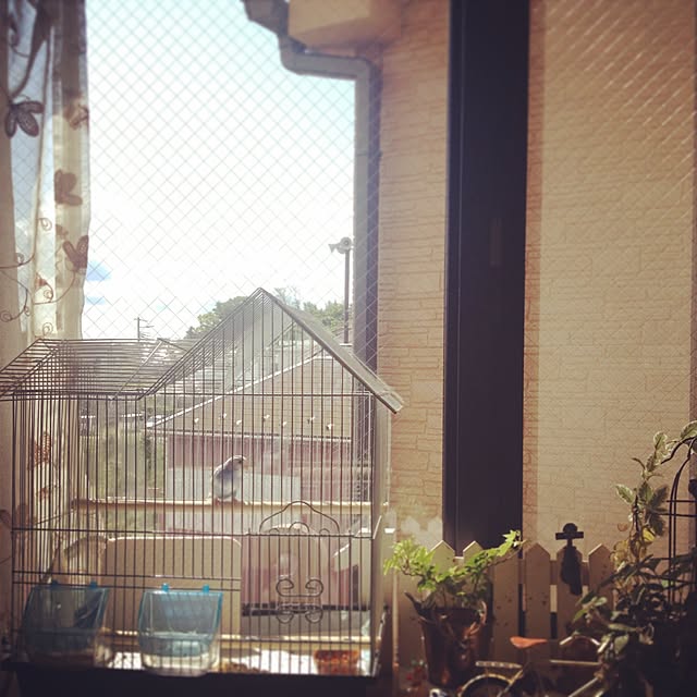 ri.o_o.naさんの実例写真
