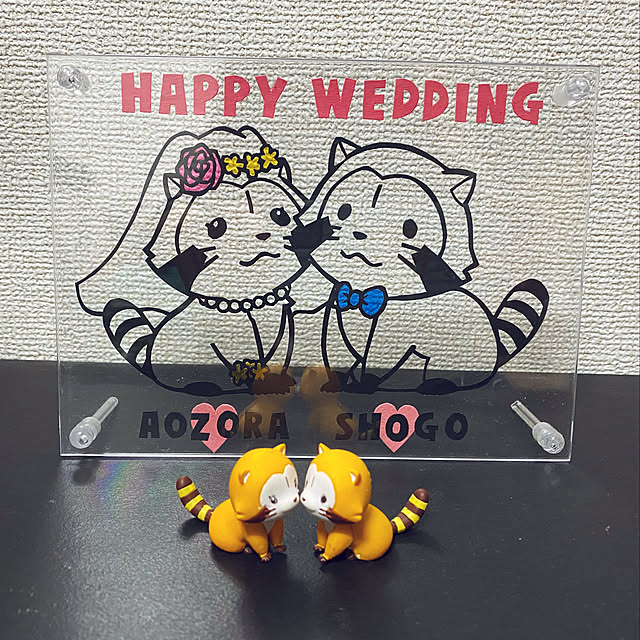 Aozoraさんの実例写真