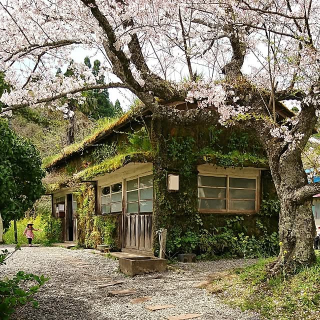 実例写真
