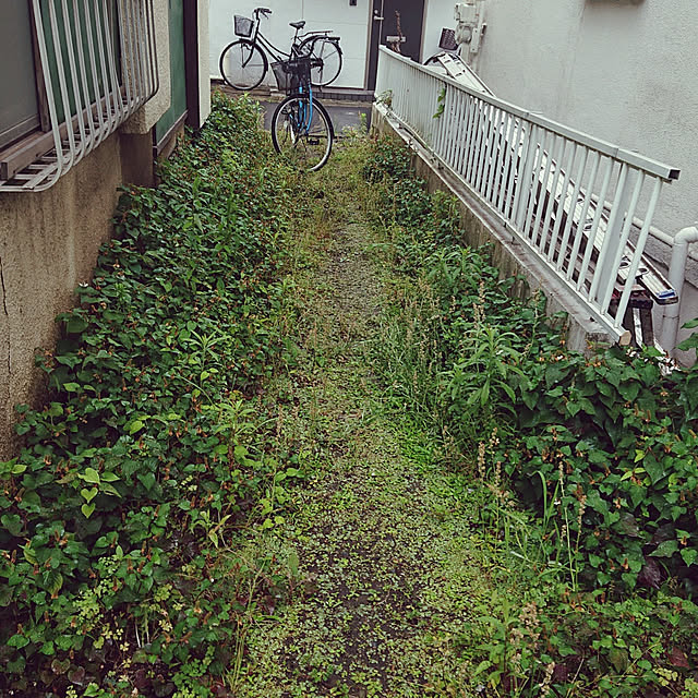 NAOKIさんの実例写真