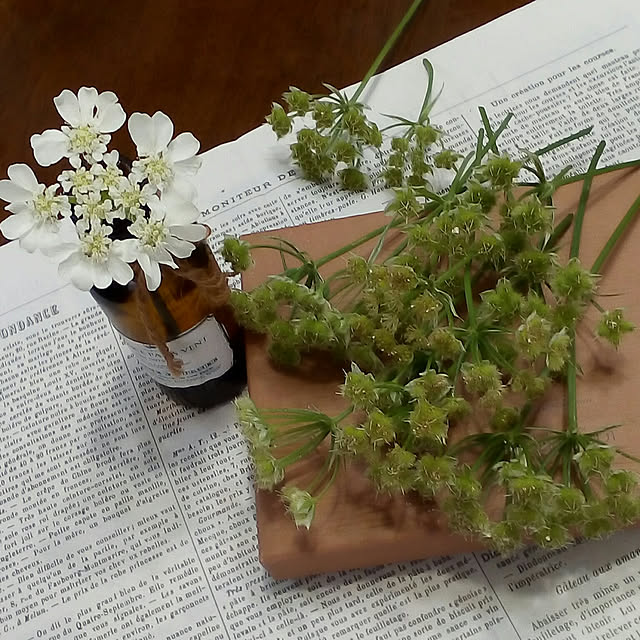 mariagardenさんの実例写真