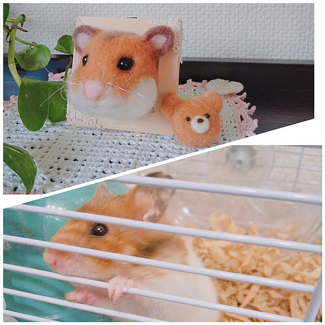 aikkoさんの実例写真