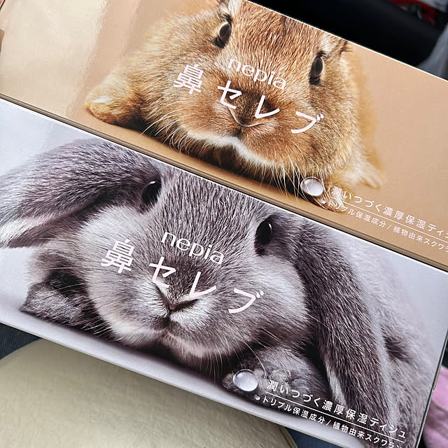 prelumoさんの実例写真
