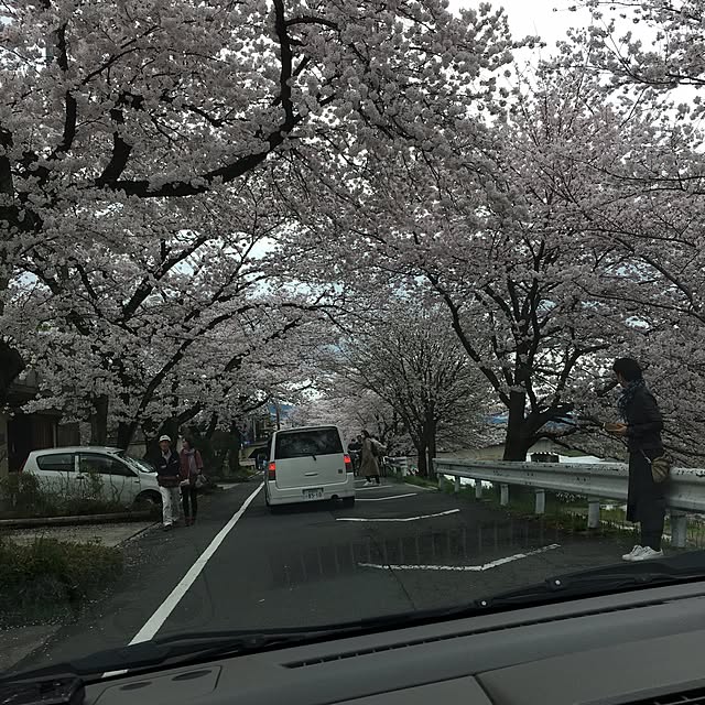 sakuranboさんの実例写真