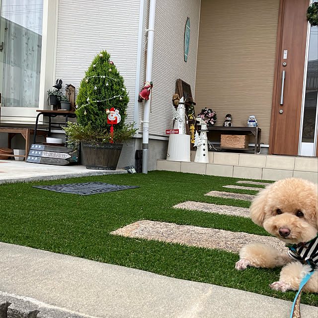 NICOさんの実例写真