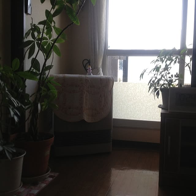 Mitsueさんの実例写真