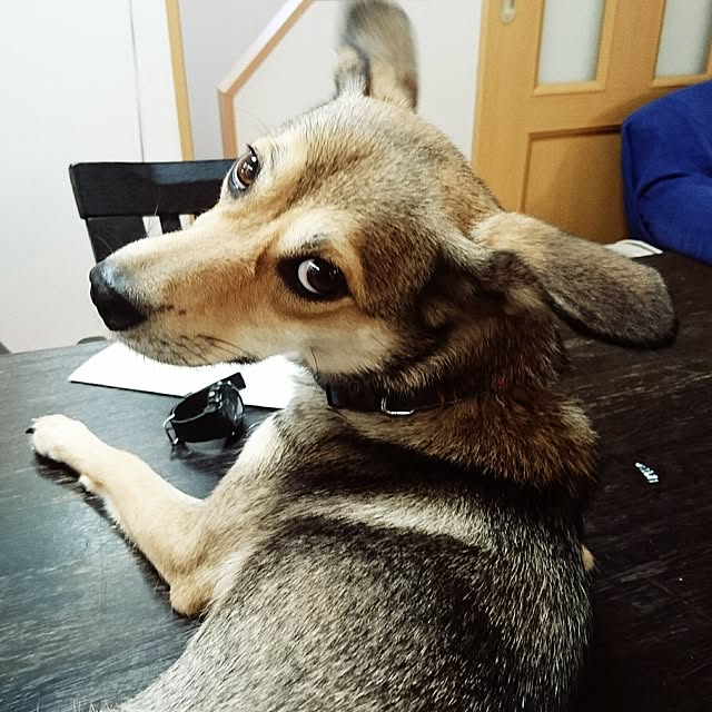 andさんの実例写真