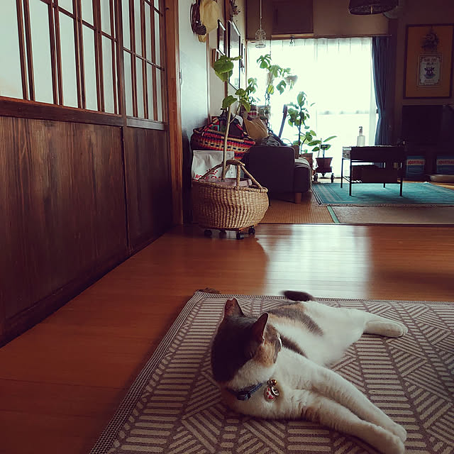 fukuさんの実例写真