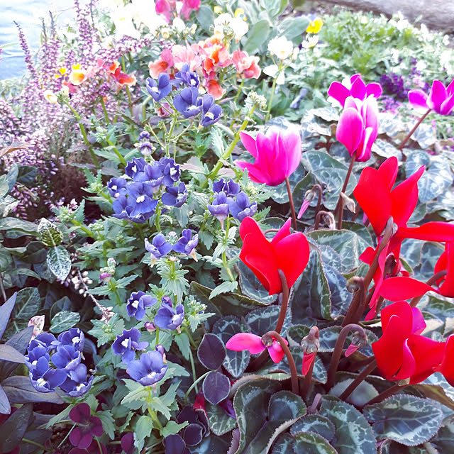 min_nimさんの実例写真