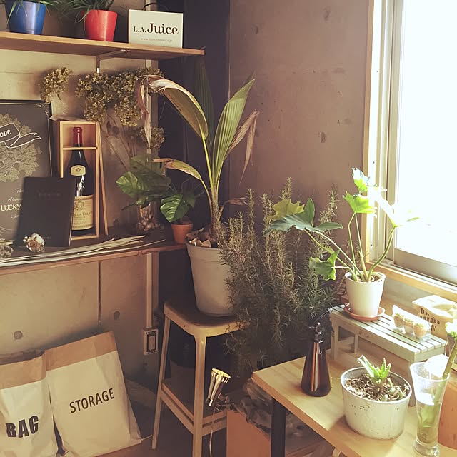 キッチン/ナチュラル/DIY/観葉植物/IKEA...などのインテリア実例 - 2016-12-03 14:01:10