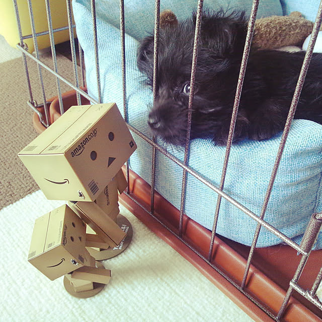 P-conutsさんの実例写真