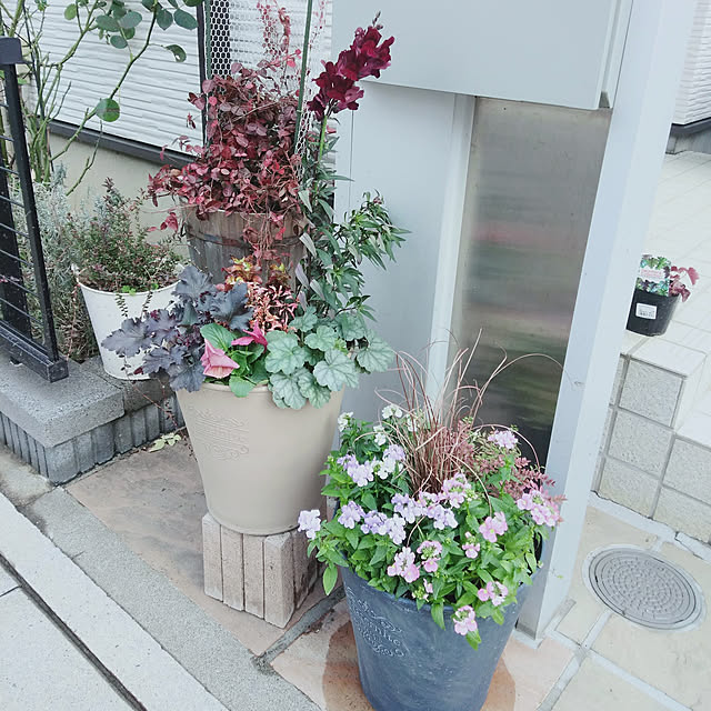 ayaさんの実例写真