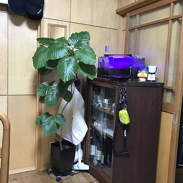 misamisa1113さんの実例写真